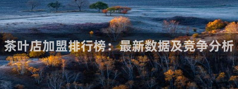 龙八国际手机版下载注册