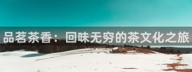 龙八国际app是什么