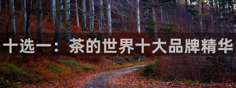 龙八国际app联系方式