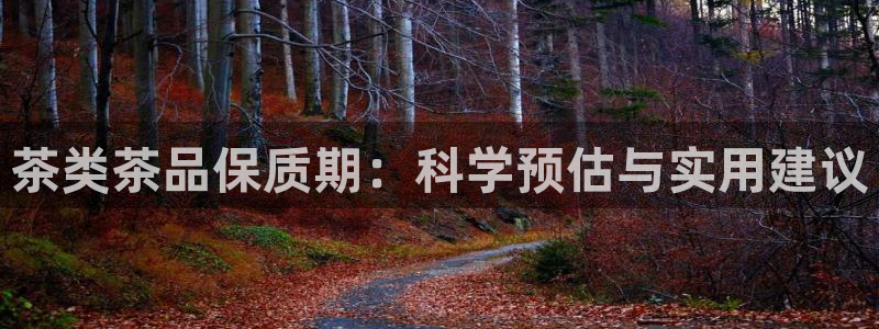 龙八国际app鄂州