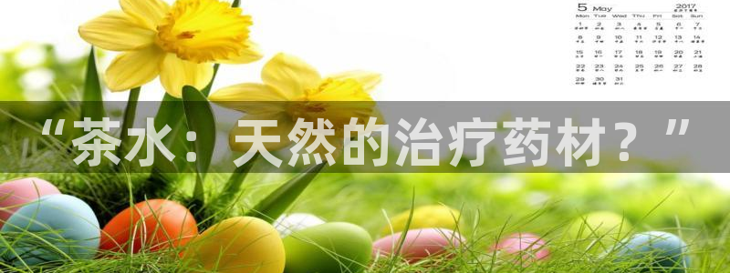 龙八国际手机客户端