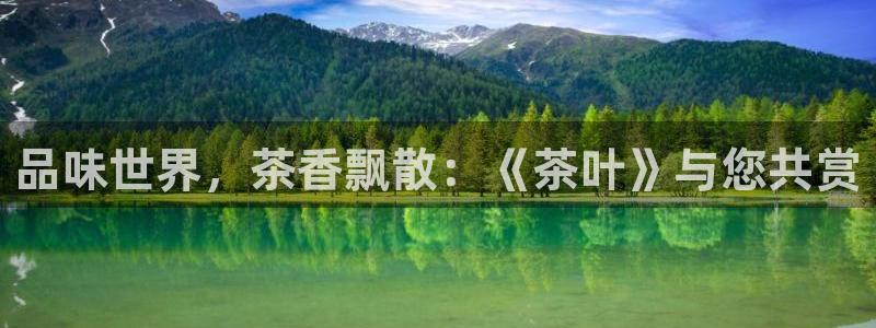 龙八国际娱乐官方