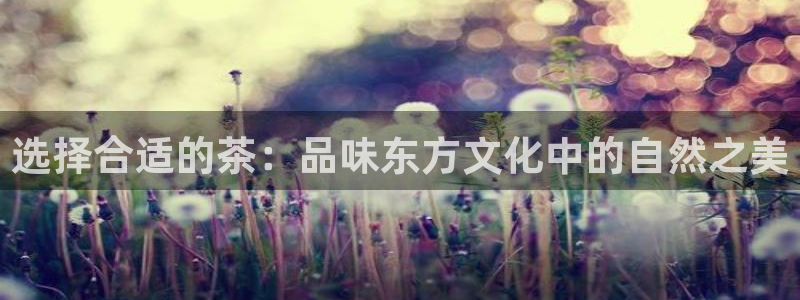 龙八国际网站手机版