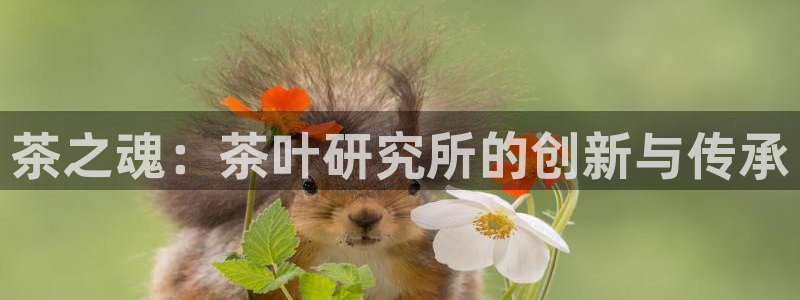 龙八国际怎么注册手机端