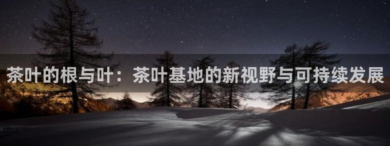 龙八国际是不是黑平台